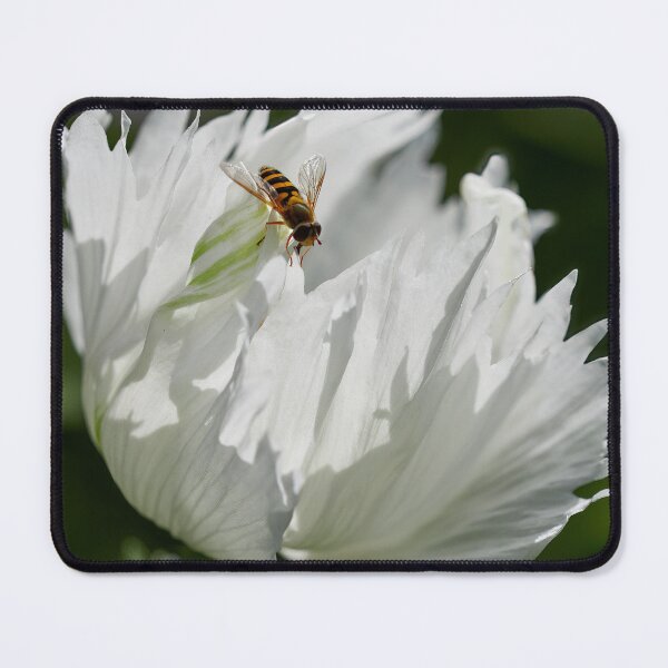 Item preview, Pollunator's point. Poppy designed and sold by Jouko Lehto Photography.