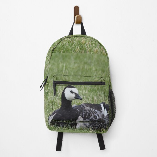 Item preview, Rest awake. Branta leucopsis, Barnacle goose designed and sold by Jouko Lehto Photography.