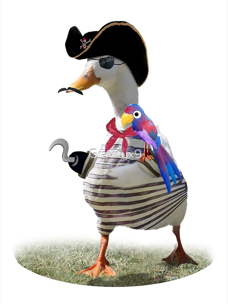 Pirate Captain Duck with Hook Hand Metal Print for Sale by Gravityx9