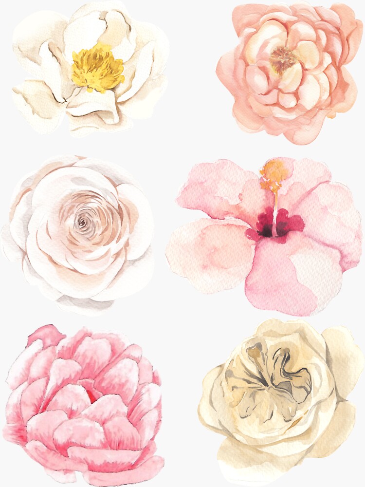 "Pastel Watercolor Flowers" Sticker for Sale by AsinusAS Redbubble