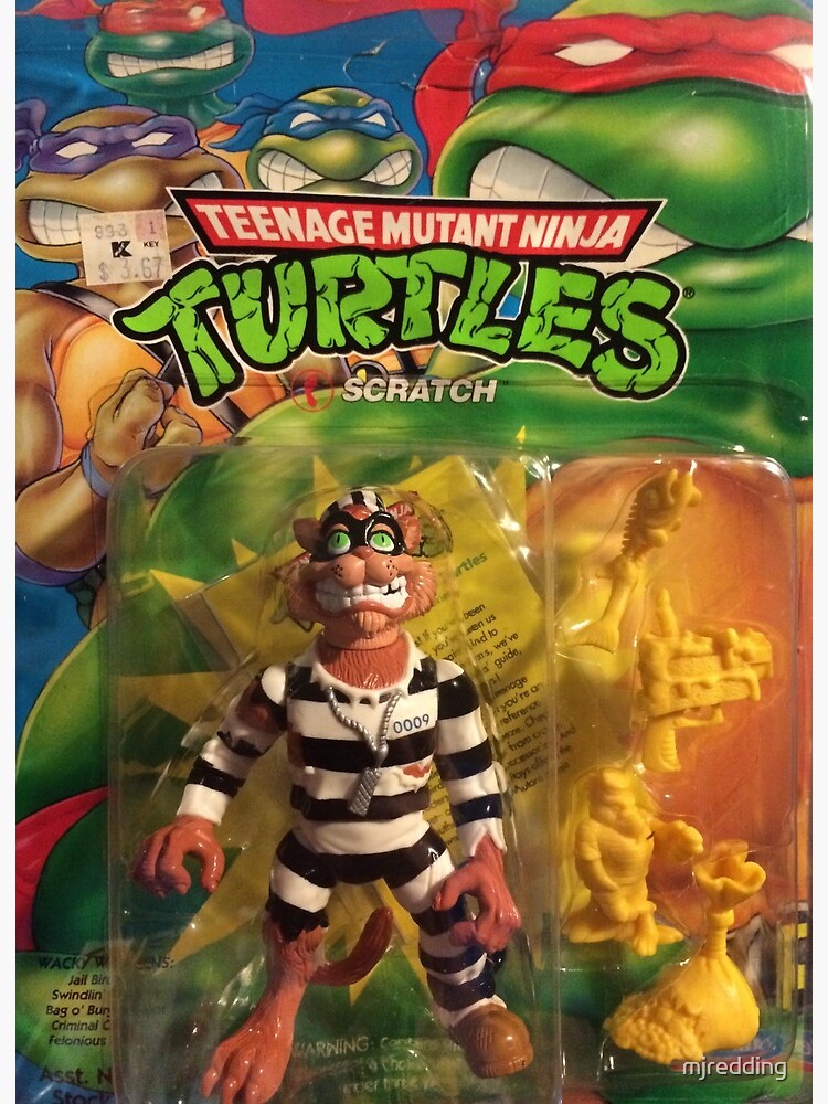 tmnt scratch