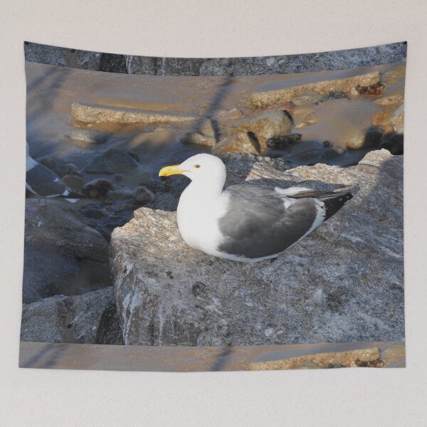 Item preview, Gull On Rock designed and sold by merlin722.