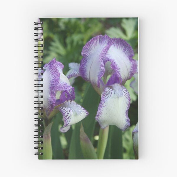 Item preview, Purple and White Irises designed and sold by JustineZeller.