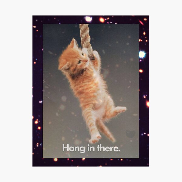 Hang In There, Space Kitty Photographic Print