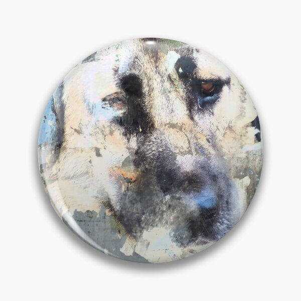 Item preview, Graffiti the Kangal designed and sold by Pioooh.