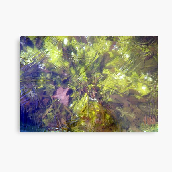 Paleo Ice Cube Metal Print