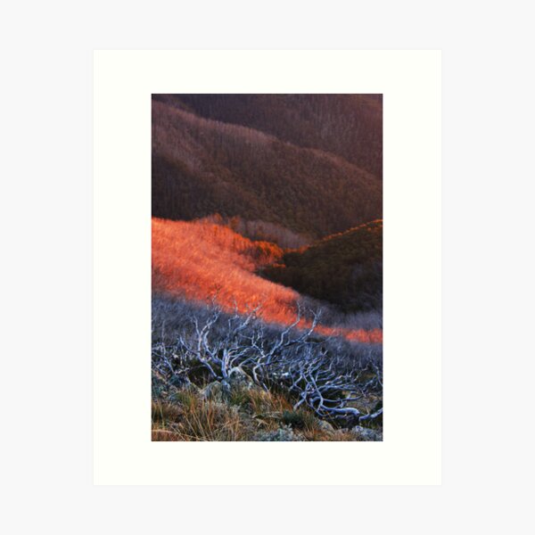 Item preview, Sun fire in the valley designed and sold by Robyn Lakeman.