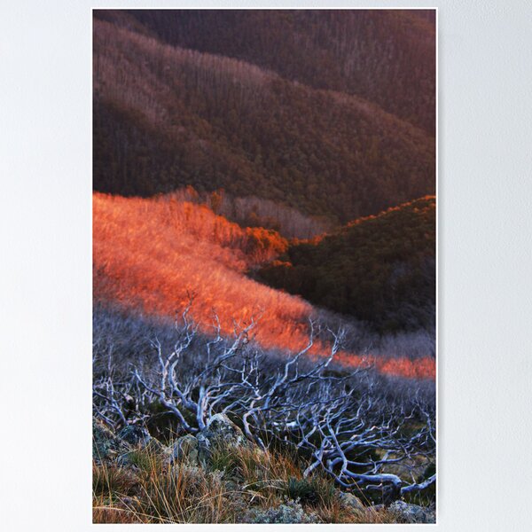 Item preview, Sun fire in the valley designed and sold by Robyn Lakeman.