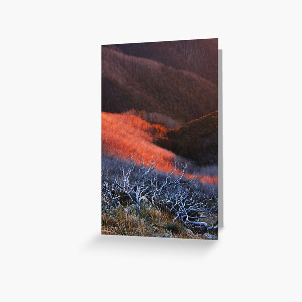 Item preview, Sun fire in the valley designed and sold by Robyn Lakeman.