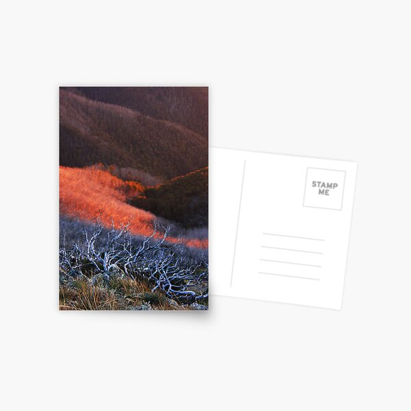 Sun fire in the valley Postcard