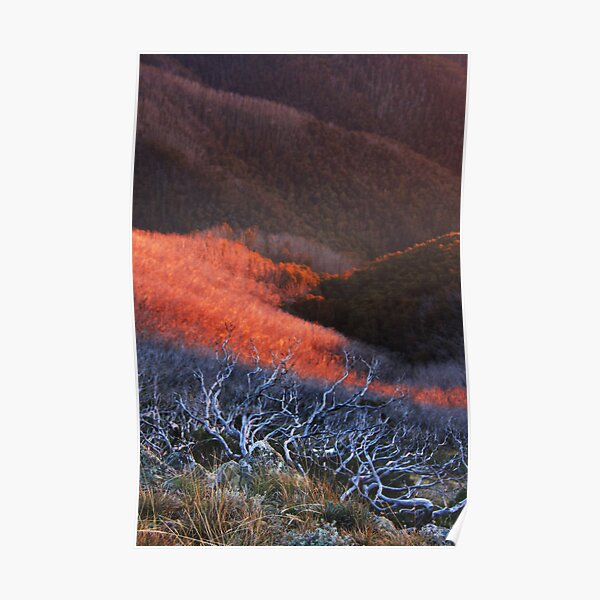 Sun fire in the valley Poster