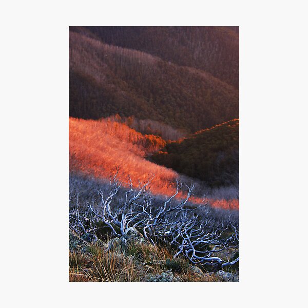 Item preview, Sun fire in the valley designed and sold by Robyn Lakeman.