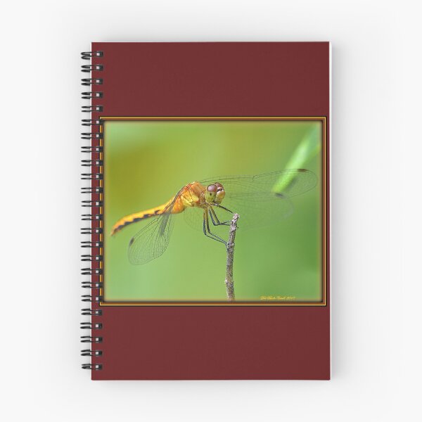 Item preview, Female Ruby Meadowhawk Dragonfly designed and sold by Deb  Badt-Covell.