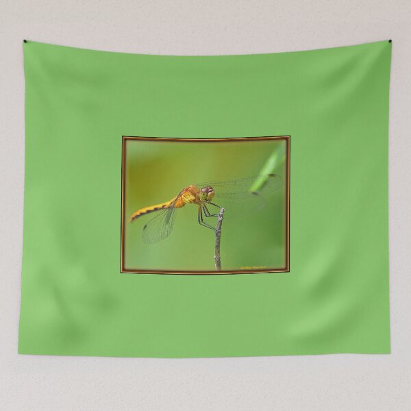 Item preview, Female Ruby Meadowhawk Dragonfly designed and sold by Deb  Badt-Covell.