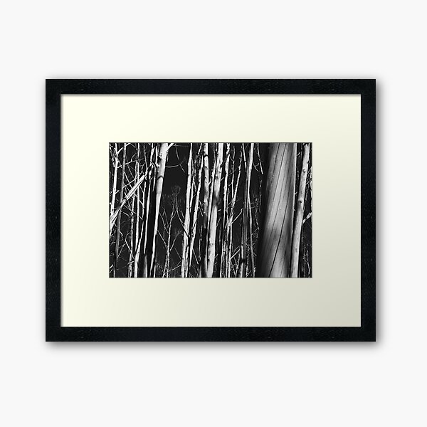 Dead trees Framed Art Print