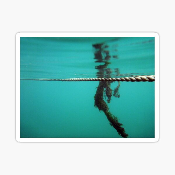 "Underwater" Sticker for Sale by rom01 Redbubble