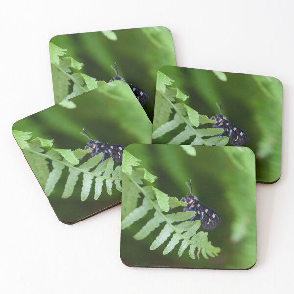Item preview, Nine-spotted moth on green leaf designed and sold by Anastasia Kaneva.