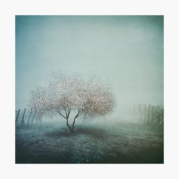 Blurred Hope Photographic Print