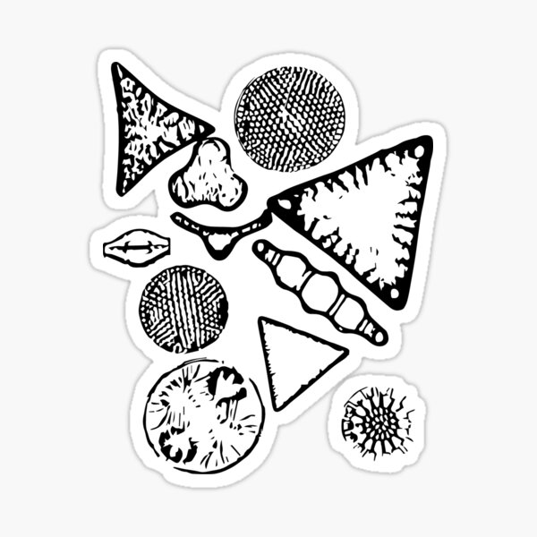 Item preview, Diatoms Forever designed and sold by scienceinquiry.