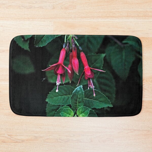 Item preview, Fuchsias Flowers Plant Closeup designed and sold by worldways.