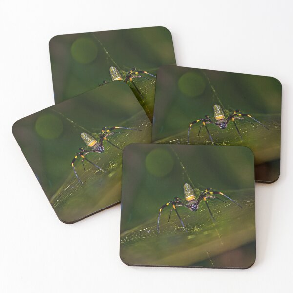 Item preview, Not An Itsy Bitsy Spider designed and sold by alabca.