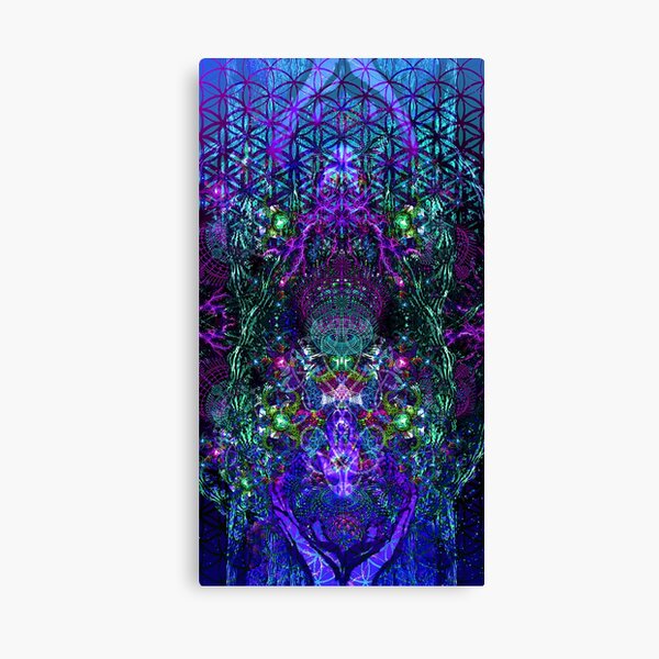 Hands To The Cosmos Canvas Print