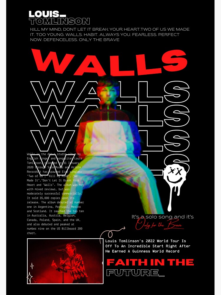 Louis Tomlinson LP Vinyl Record - Walls