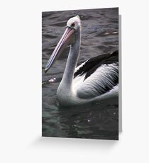 Pelican Greeting Card
