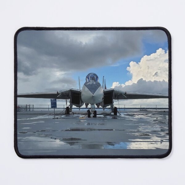 Item preview, F-14 Front View designed and sold by Jackson Lanier.