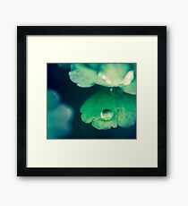 Droplet Framed Print
