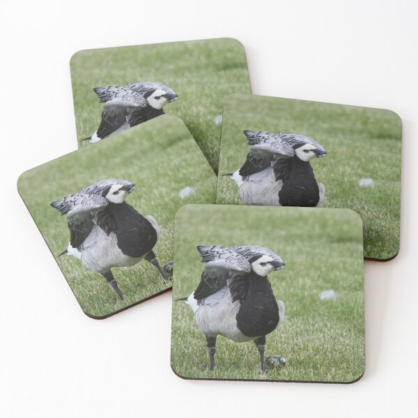 Item preview, Armpit dustup. Branta leucopsis, Barnacle goose designed and sold by Jouko Lehto Photography.