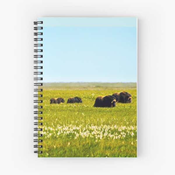 Item preview, Wild Muskox designed and sold by raymona pooler.