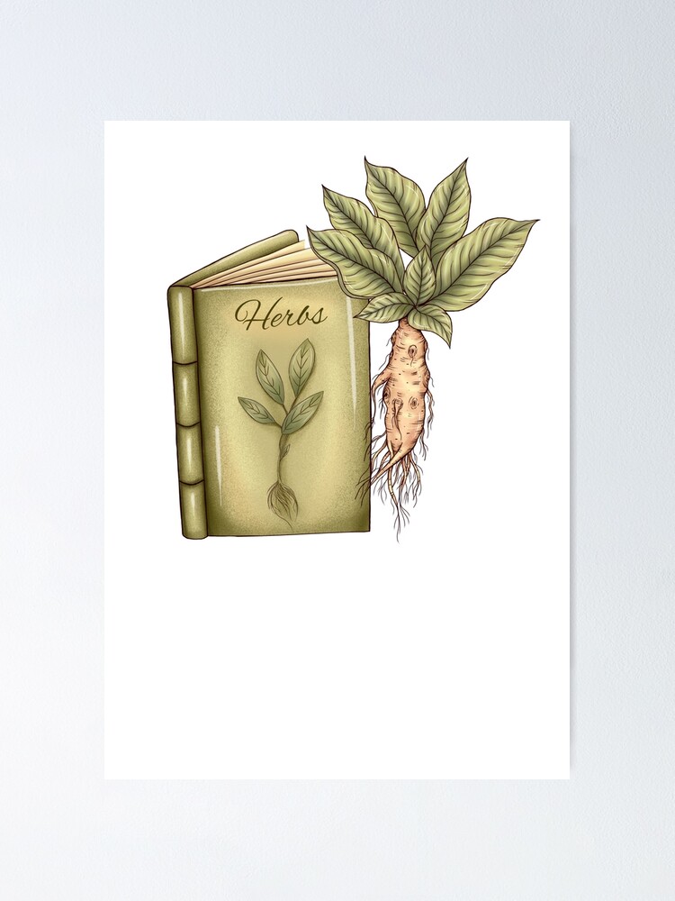 Mandragore/Harry Potter/ Herbology/Botany