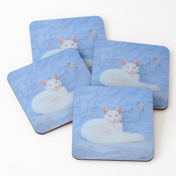 Item preview, White street cat at the blue city Chefchaouen, Morocco. designed and sold by karim el kamli.