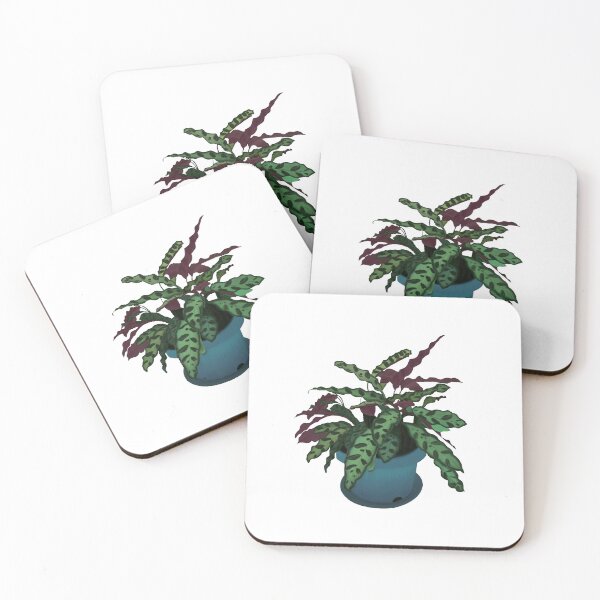 Item preview, Calathea (Peacock Plant) designed and sold by artisticapricot.