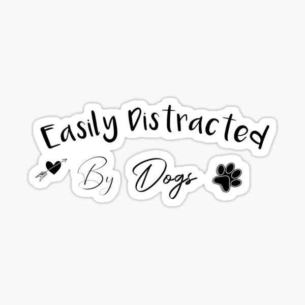 Is Your Dog Easily Distracted? GREAT! Here's Why…