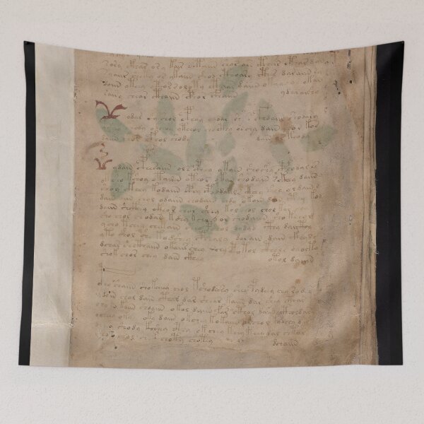 Item preview, Voynich manuscript book cover  Illustrated codex hand-written in an unknown writing system designed and sold by TeeARTHY.