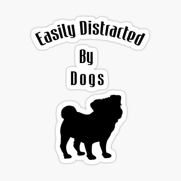 Is Your Dog Easily Distracted? GREAT! Here's Why…