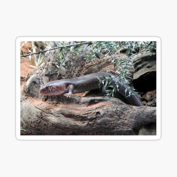 Item preview, Night Skink designed and sold by kirstybush.