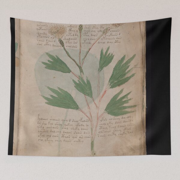 Item preview, Voynich manuscript book cover  Illustrated codex green and yellow leaves designed and sold by TeeARTHY.