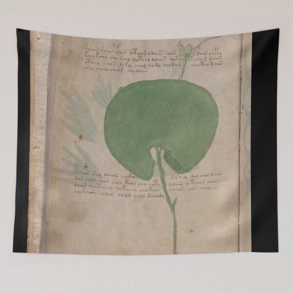 Item preview,  Voynich manuscript book cover  Illustrated codex green  leaves designed and sold by TeeARTHY.