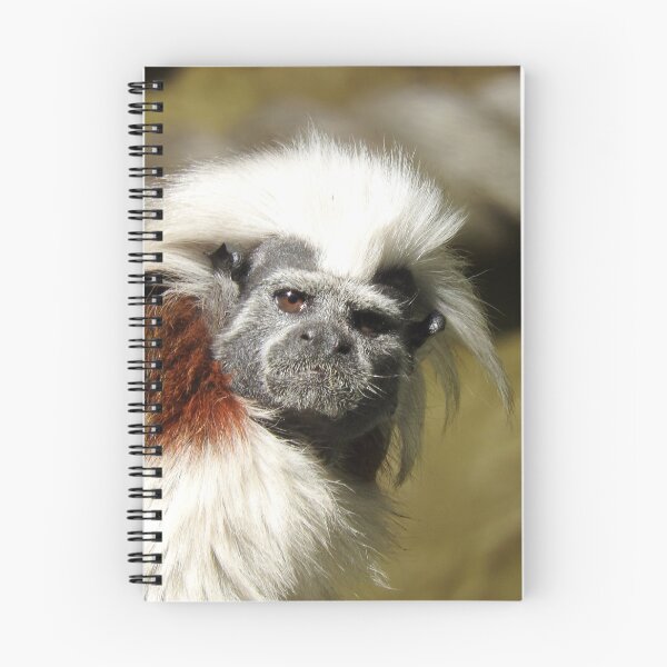 Item preview, Cotton-top Tamarin designed and sold by kirstybush.