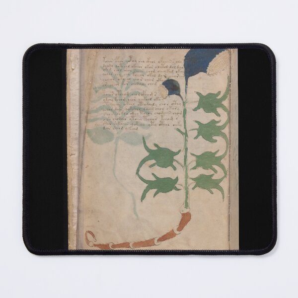 Item preview, Voynich manuscript book cover Illustrated codex designed and sold by TeeARTHY.