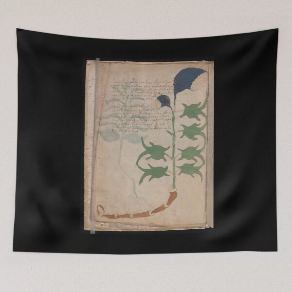 Item preview, Voynich manuscript book cover  Illustrated codex  designed and sold by TeeARTHY.