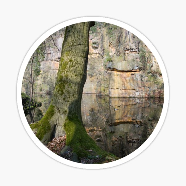 Reflection in the quarry 4. Rocks, trees and water Sticker