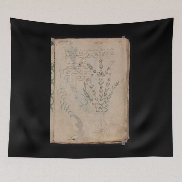 Item preview, Voynich manuscript book cover  Illustrated codex  designed and sold by TeeARTHY.