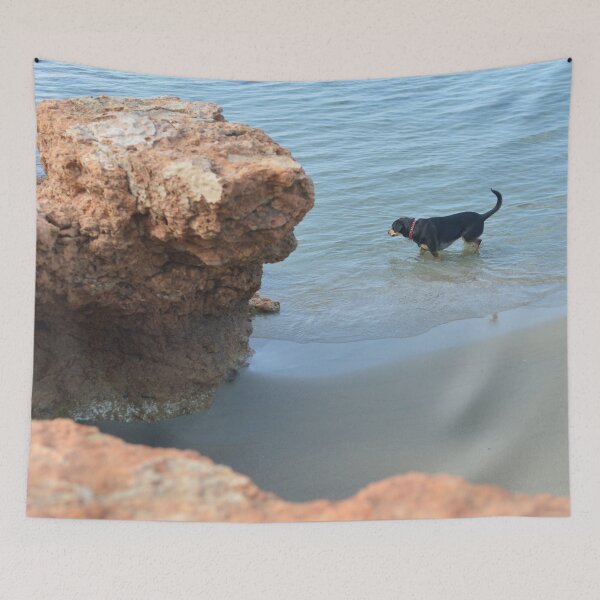 Item preview, Dog on the beach designed and sold by CasparTheRiddle.