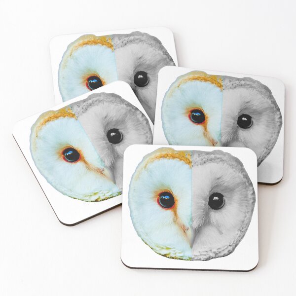 Item preview, Night and Day Owl designed and sold by Dalyndigital Photography.