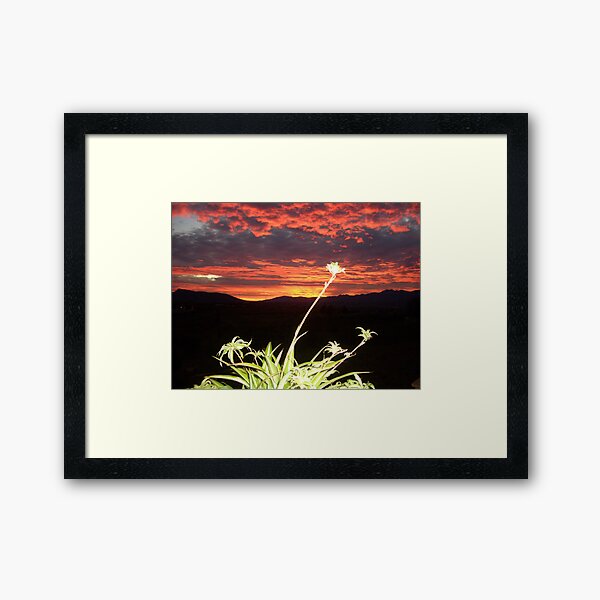 Another Sunrise over Malaga Framed Art Print