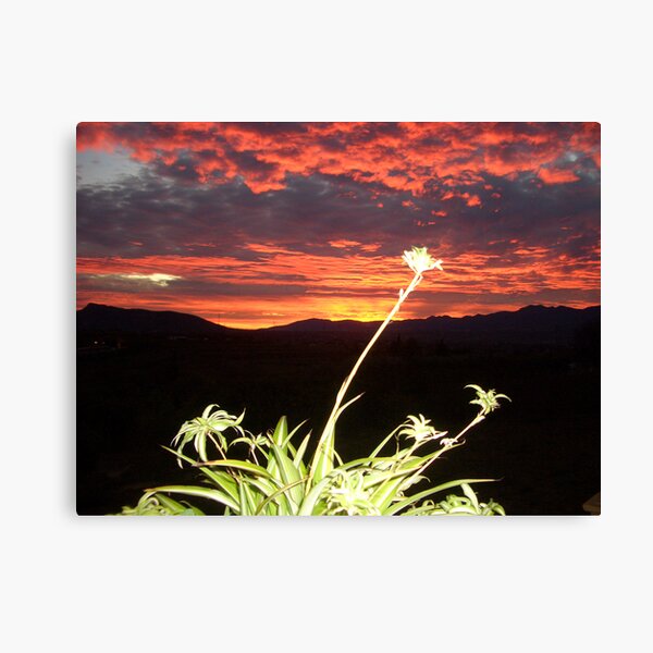 Another Sunrise over Malaga Canvas Print